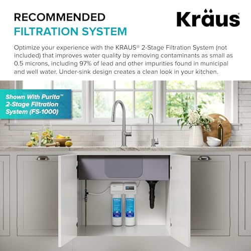 Purita™ Single Handle Drinking Water Filter Faucet for Reverse Osmosis or Water Filtration System in Brushed Brass