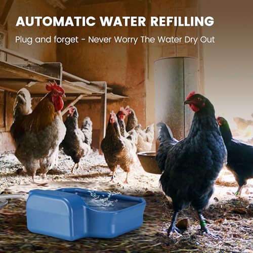 Automatic Water Dispenser for Dogs