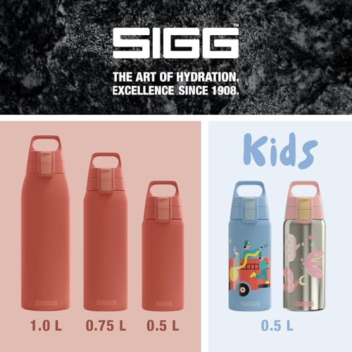 Insulated Water Bottle