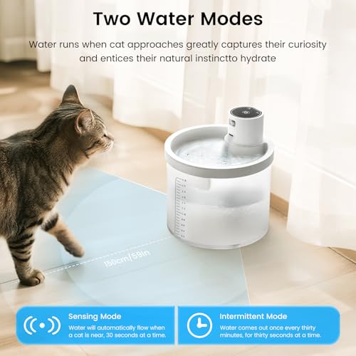 Cat Water Fountain Cordless