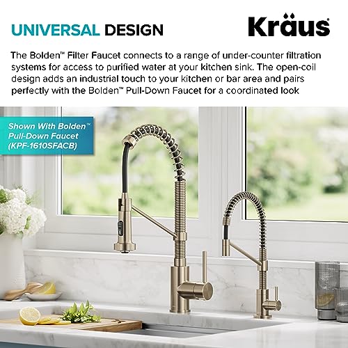 Bolden Single Handle Drinking Water Filter Faucet for Reverse Osmosis or Water Filtration System in Spot