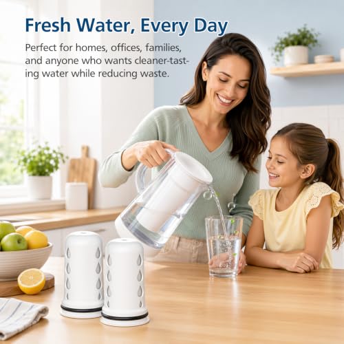 Water Pitcher Filter Replacement for LifeStraw Home