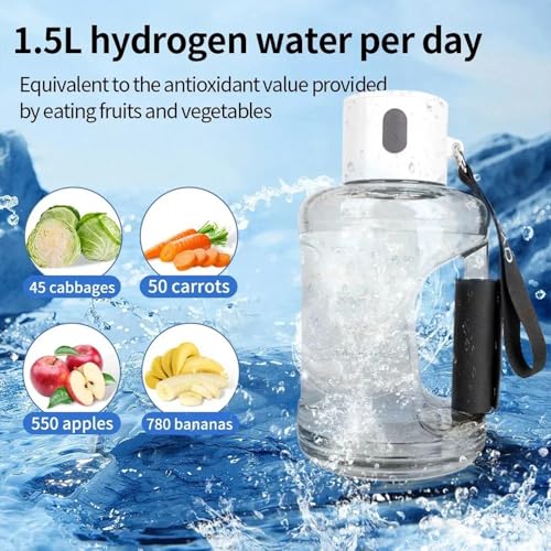 Portable Hydrogen Water Bottle