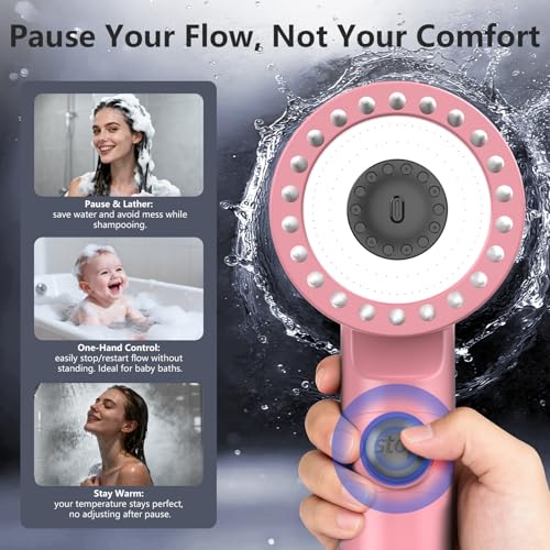 Filtered Shower Head with Handheld