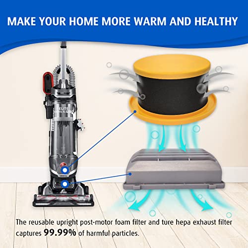2 Pack Filter Replacement Parts for Hoover UH75250、UH75150、UH75110、UH75100、UH75160、UH75120、UH75210、UH75200、UH75260、UH75240、UH75140 MAXLife Elite Swivel Pet Vacuum Cleaner (2 Count)