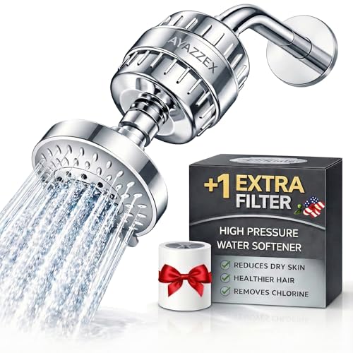 Filtered Shower Head with 2 Filter Cartridges