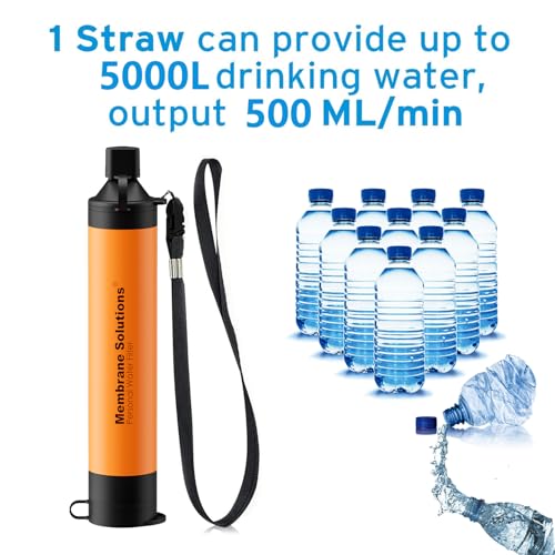 Personal Water Filter Straw with an Official Carry Case