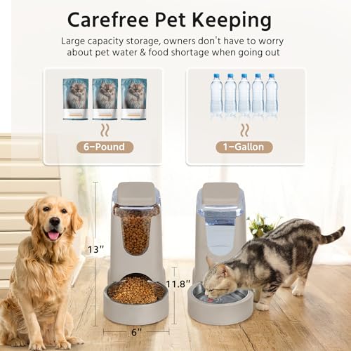 2 Pack Automatic Cat Feeder and Stainless Steel Water Dispenser