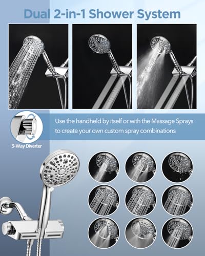Filtered Shower Head with Handheld Combo