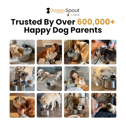 Wireless Dog Water Fountain