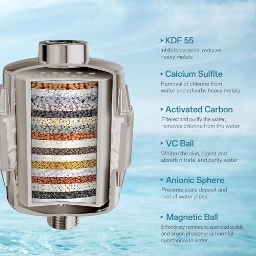 10'' Dual 20 Stage Filtered Shower Head with Handheld