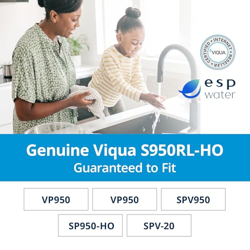 S950RL HO High