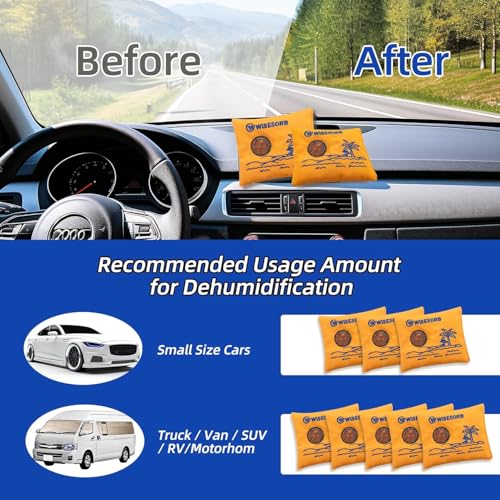 100gx80pcs Rechargeable Desiccant Packs for Storage (80 Count)