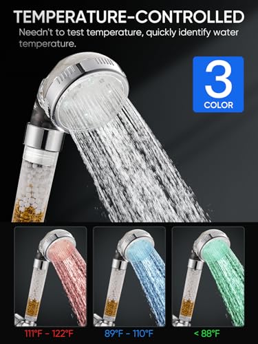 Filtered LED Shower Head with Handheld