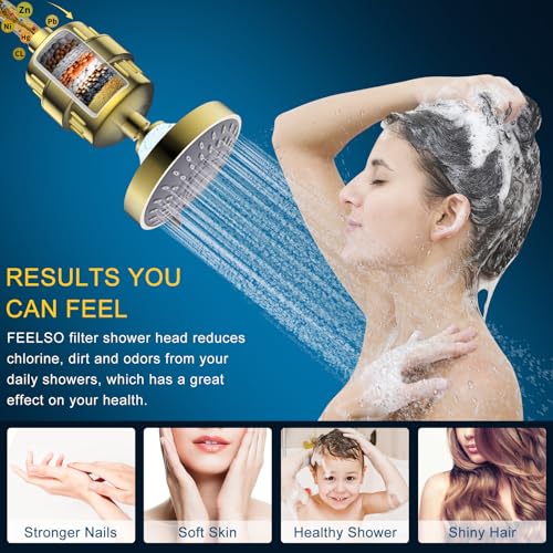 Shower Head with Shower Filter