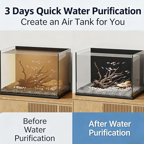 Cubic Water Trough Filter 2.0 (2 Count)