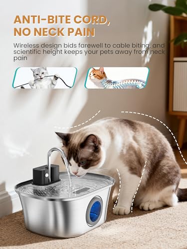 Cat Water Fountain Stainless Steel Cat Fountains for Drinking