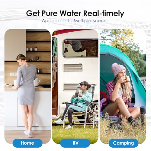 Black Water Filter (2 Count)