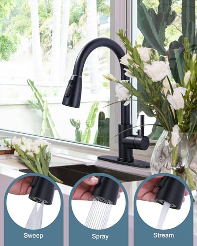 Black Kitchen Faucet with Sprayer