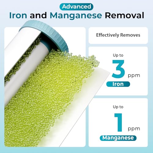 WGB32BM Iron Manganese Whole House Water Filter System