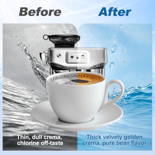 Replacement Water Filter for Breville Espresso Machine (2 Count)