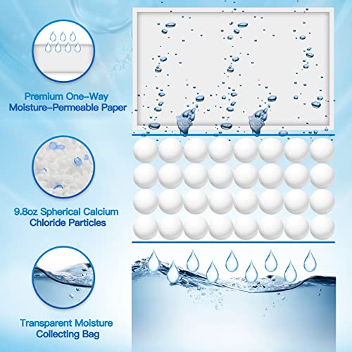 Moisture Absorber (10 Count)