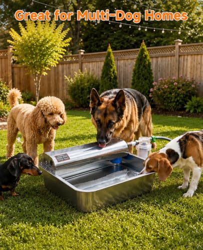 3 Gallon Automatic Dog Water Dispenser 304 Stainless Steel Auto