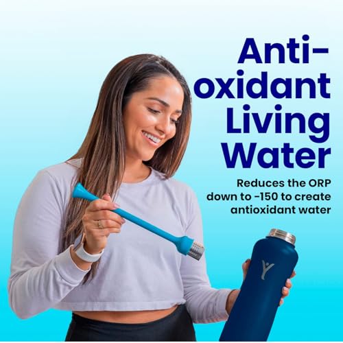 DYLN VitaBead Diffuser Hydrogen Water Generator Replacement 1 Pack