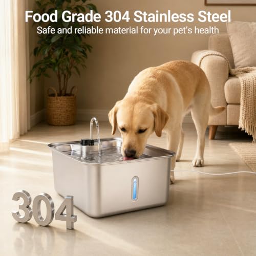 Cat Large Dog Water Fountain