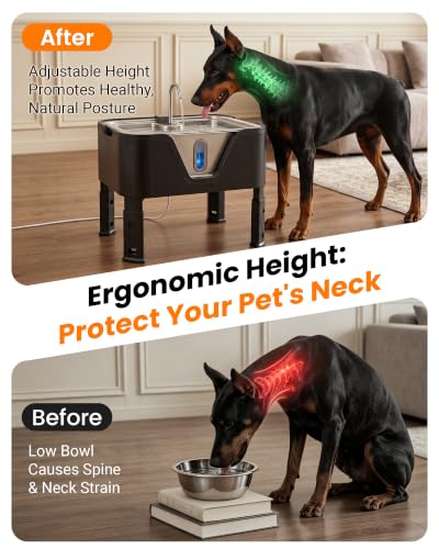 4.75Gal 18L Large Dog Water Fountain Elevated Dog Water Bowl & 3 Filters