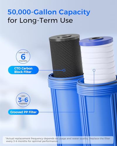 WF10BG Whole House Water Filter for WHF21 (2 Count)