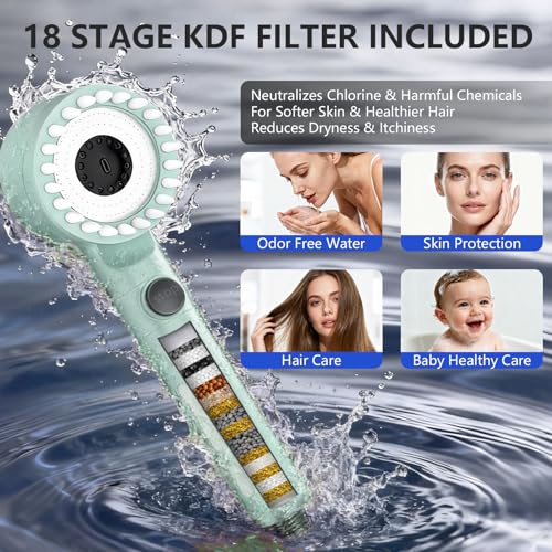 Filtered Shower Head with Handheld