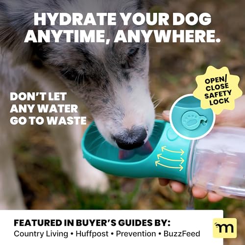 Dog Water Bottle Dispenser