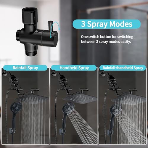 10'' Dual 20 Stage Filtered Shower Head with Handheld