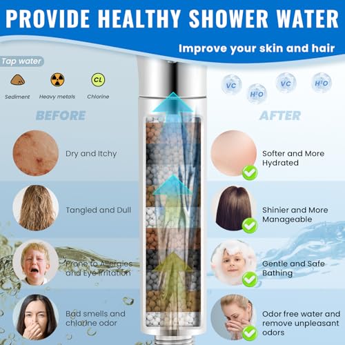 Filtered Shower Head with Handheld