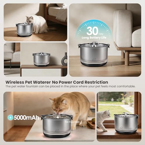 Cat Water Fountain All