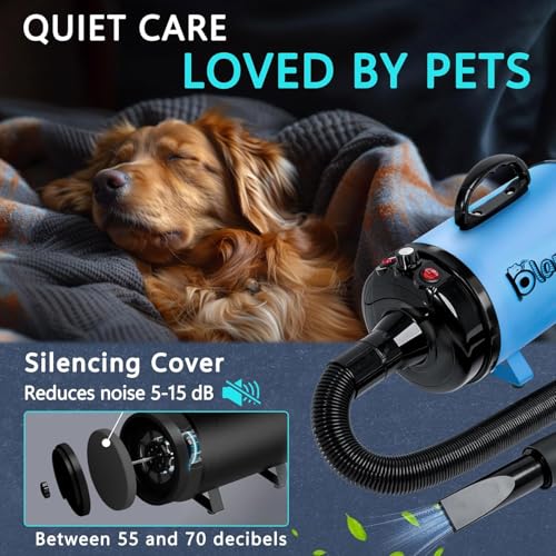 High Velocity Dog Hair Dryer