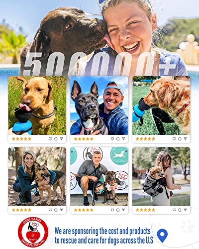 Dog Water Bottle