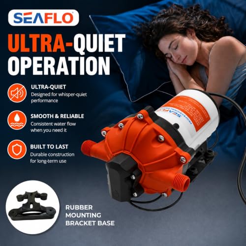 55 Series 115V AC Automatic Demand Diaphragm Pump