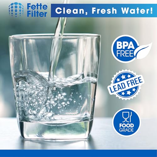 2 Pack Water Filter Replacement (2 Count)