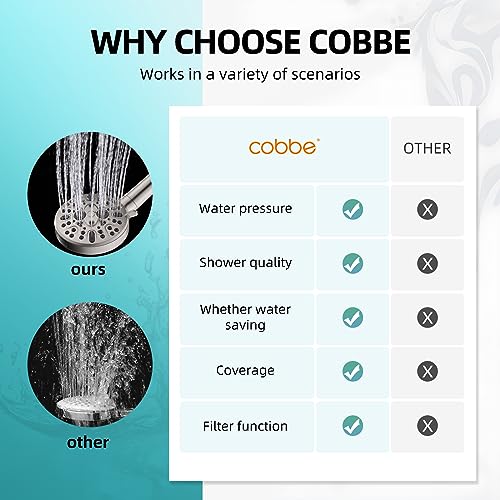 Filtered Shower Head with Handheld