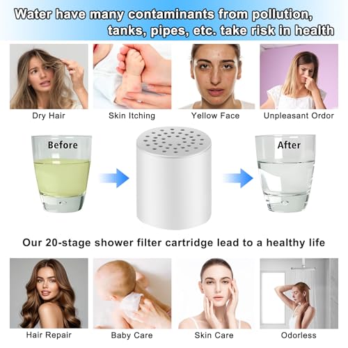 Shower Filter Replacement Cartridge (2 Count)