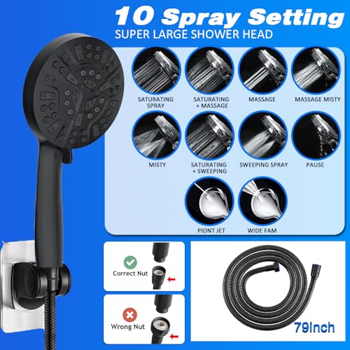 Matte Black 12" Filter Rain Shower Head with Handheld Spray Combo