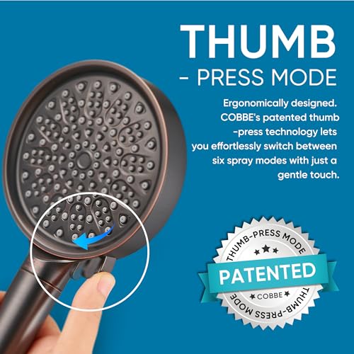 Filtered Shower Head with Handheld