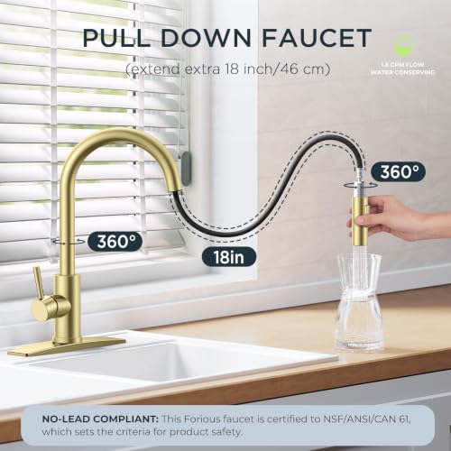 Gold Kitchen Faucet with Pull Down Sprayer