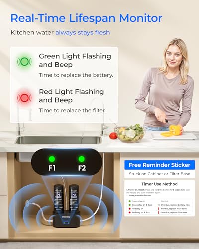 FDL P2 Replacement Water Filter for Waterdrop DLG