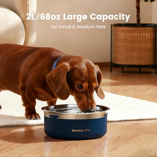 Slow Water Bowl for Dogs