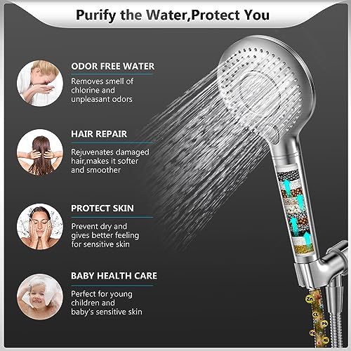Filtered Shower Head with Handheld