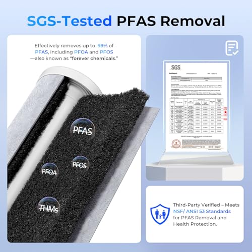PFAS Whole House Water Filter System