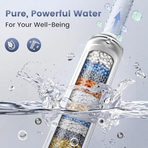 Filtered Shower Head with Handheld
